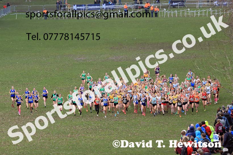 Womens Under-20s, 2024 CAU Inter Counties Cross Country Champs., Wollaton Park, Nottingham. Photo: David T. Hewitson/Sports for All Pics